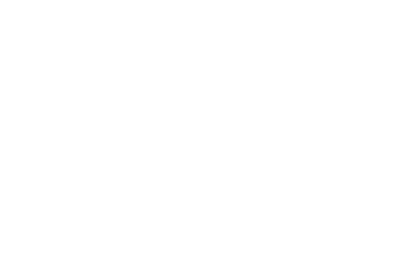 raajratna ventures logo